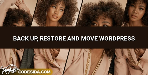 BackupBuddy v9.1.10 - Back up, restore and move WordPress