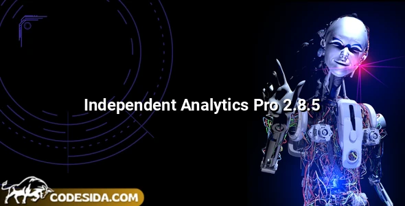 Independent Analytics Pro 2.8.5